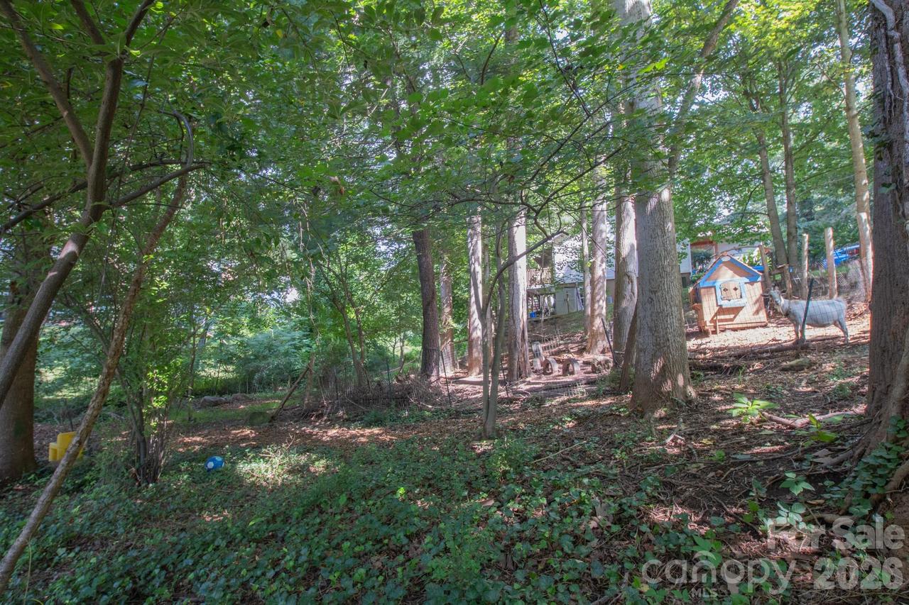 99999 Rumbough Pl., Asheville, NC 28806
