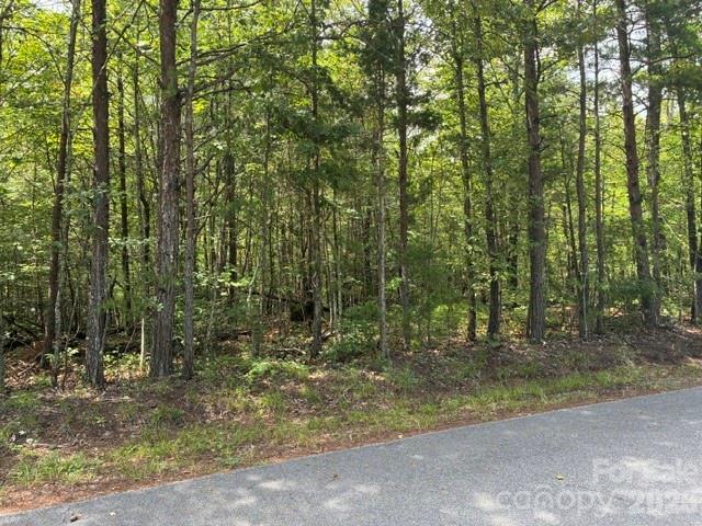 Lot 33 Justice Dr. #33, Lake Lure, NC 28746