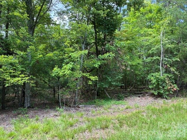 LOT 32 Justice Dr. #32, Lake Lure, NC 28746