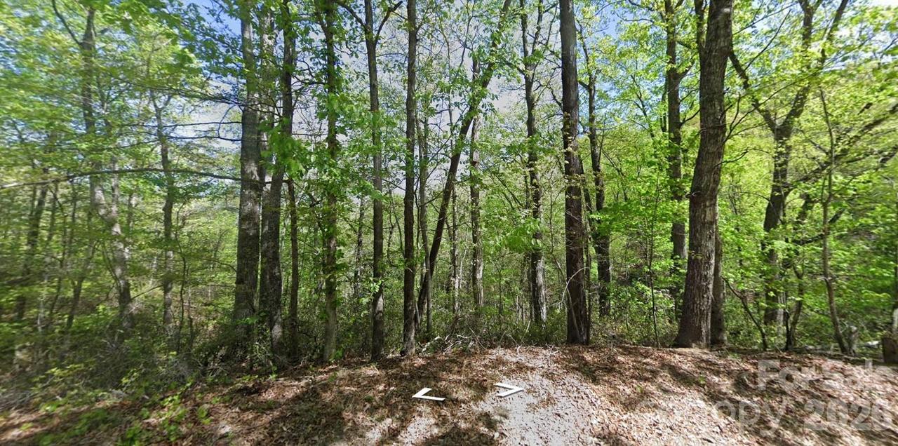 Buzzards Pl., Lake Lure, NC 28746
