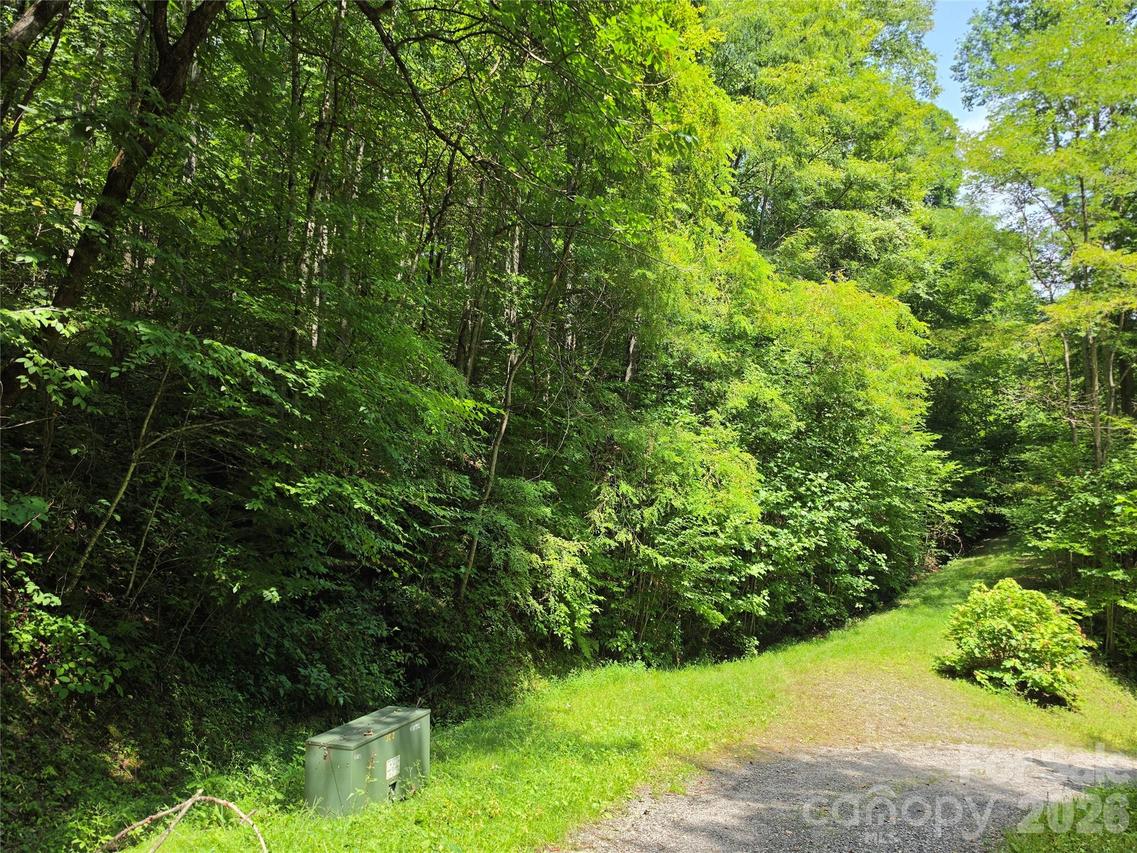 Lot 17 Cocker Spaniel Ct. #17, Whittier, NC 28789
