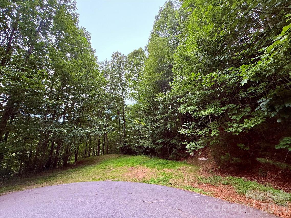 TBD Parkway View Ln. #L1, Penrose, NC 28766