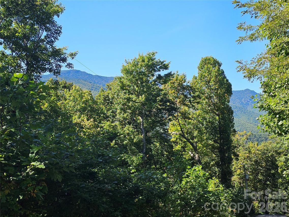 102 Big Ridge Rd., Burnsville, NC 28714