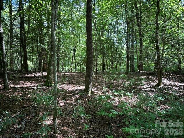 TBD Blossom Rd., Brevard, NC 28712