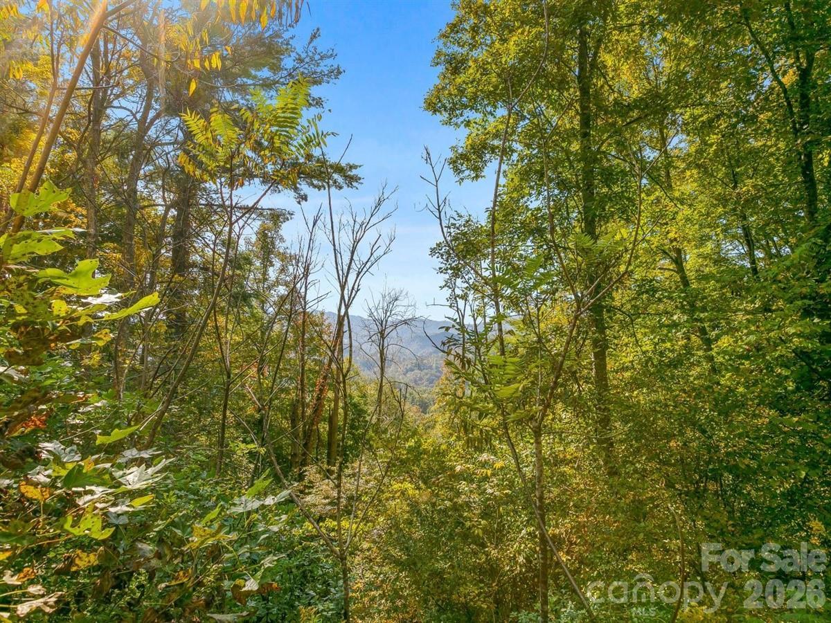 TBD Laurel Heights #35, Marshall, NC 28753