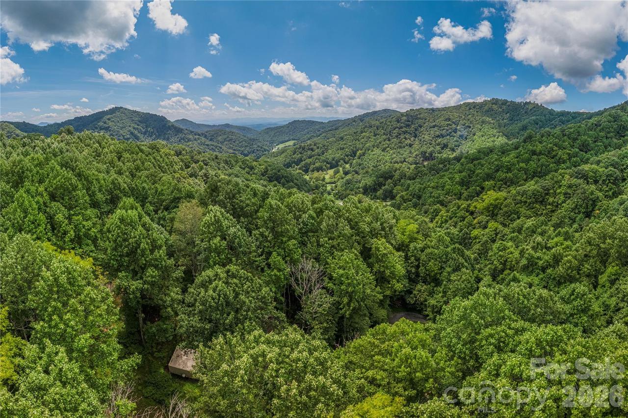 99999 Rabbit Run, Marshall, NC 28753