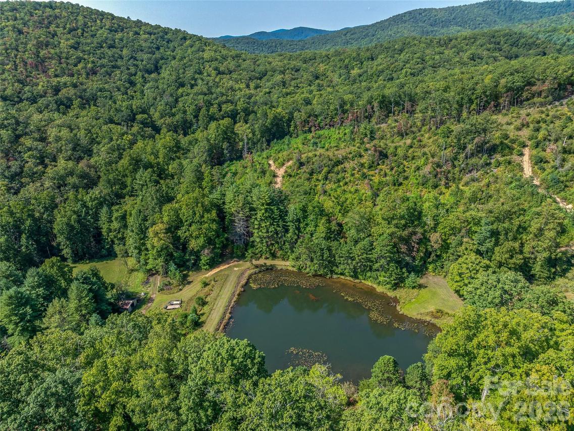 567 Davey Branch Rd., Horse Shoe, NC 28742