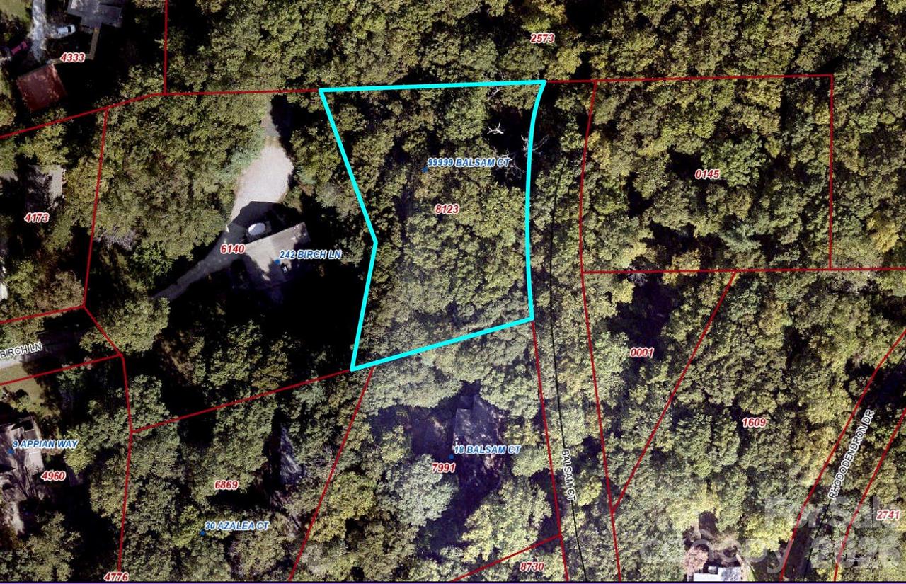 99999 Balsam Ct. #12B, Arden, NC 28704