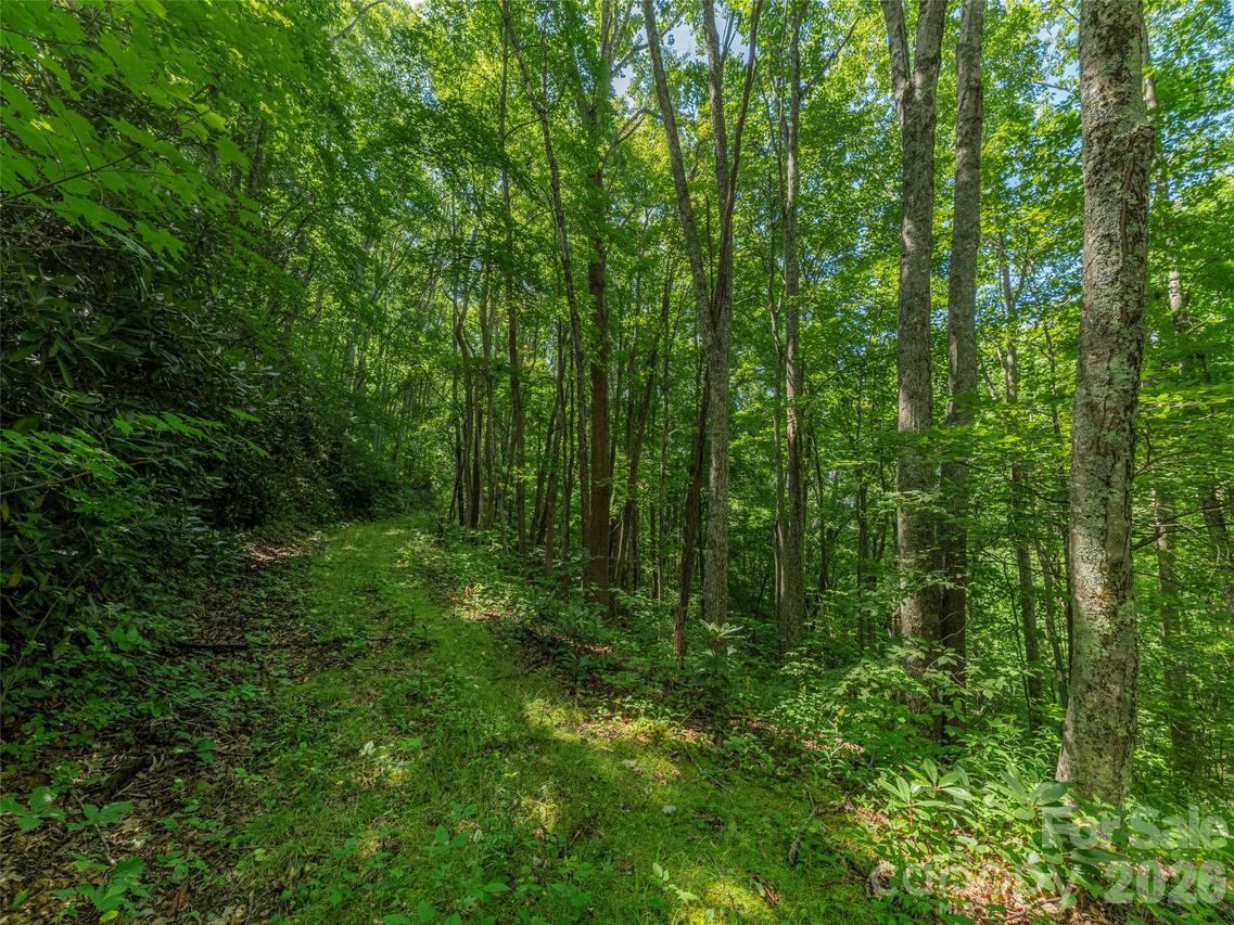 132 Grouse Rd. #131, 132, 133, 134, Clyde, NC 28721
