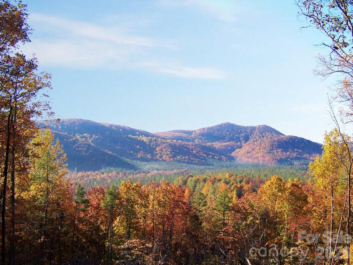 V/L Scenic Vista Dr. #332/333, Nebo, NC 28761