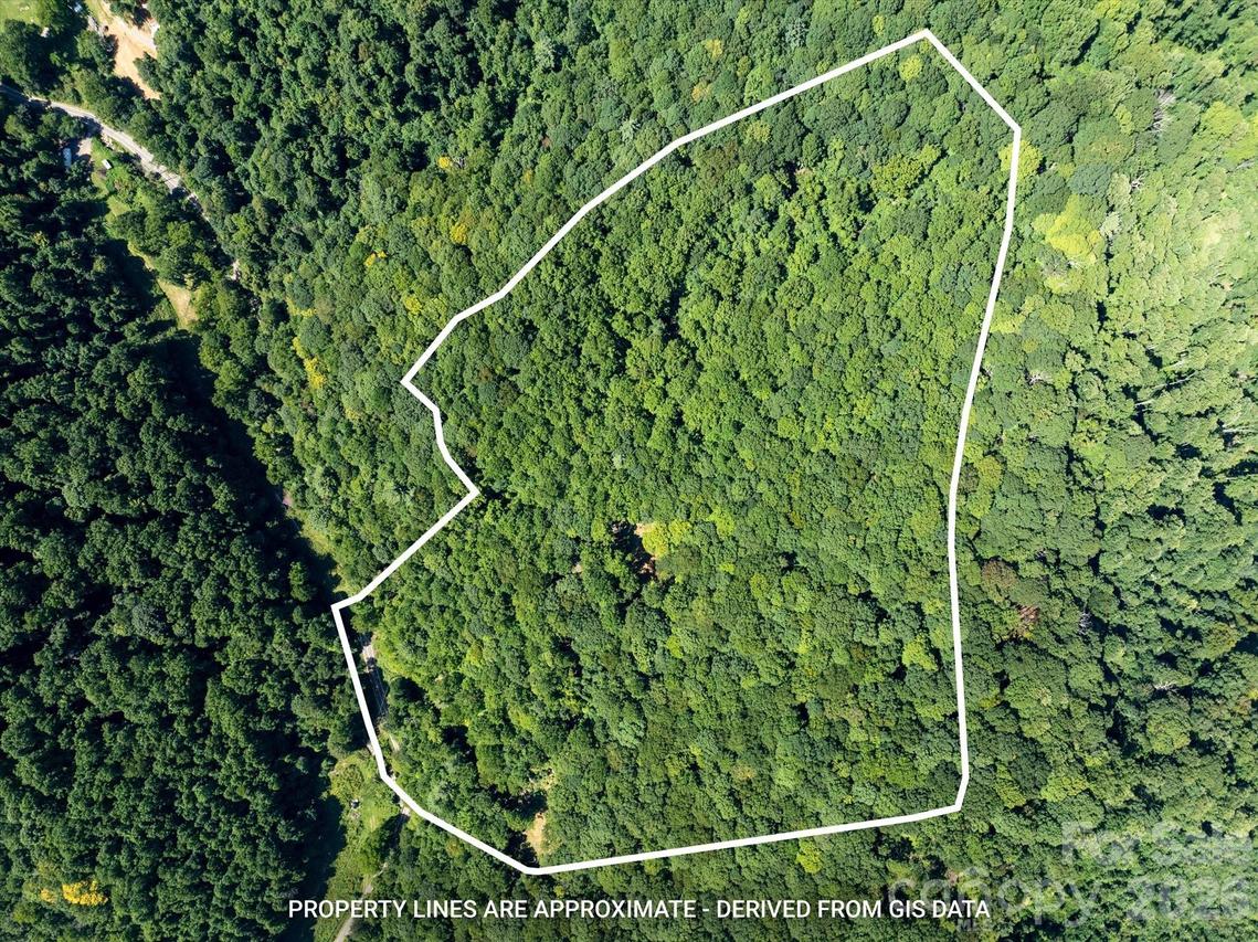 99999 Patsy Creek Rd., Burnsville, NC 28714