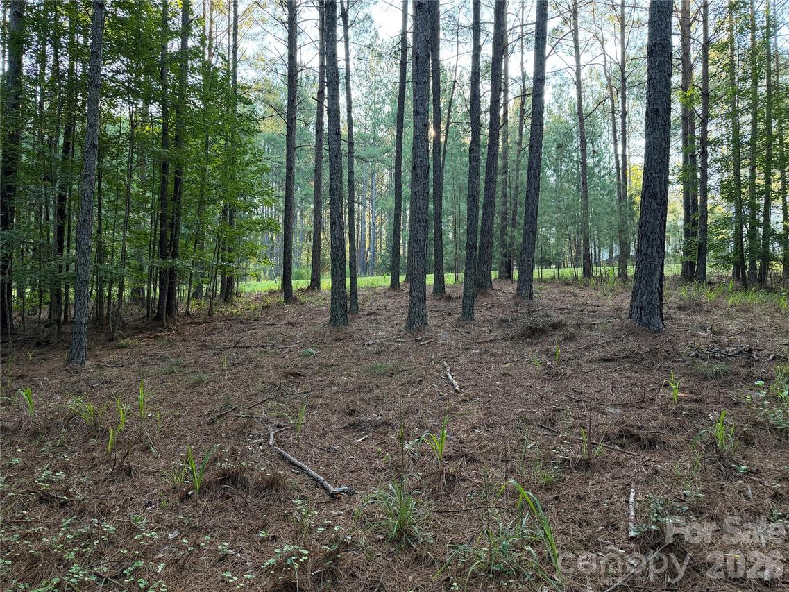 108 Whispering Pines Ln., Mooresboro, NC 28114