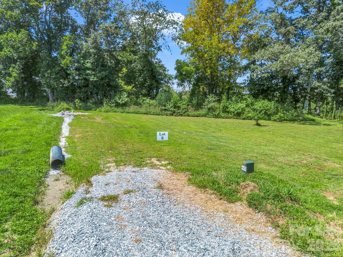 Orchid Pl. #8, Flat Rock, NC 28731
