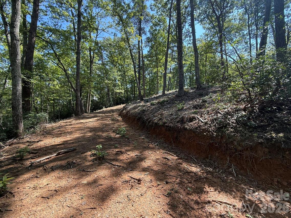 V/L Overland Tr. #168, Marion, NC 28752