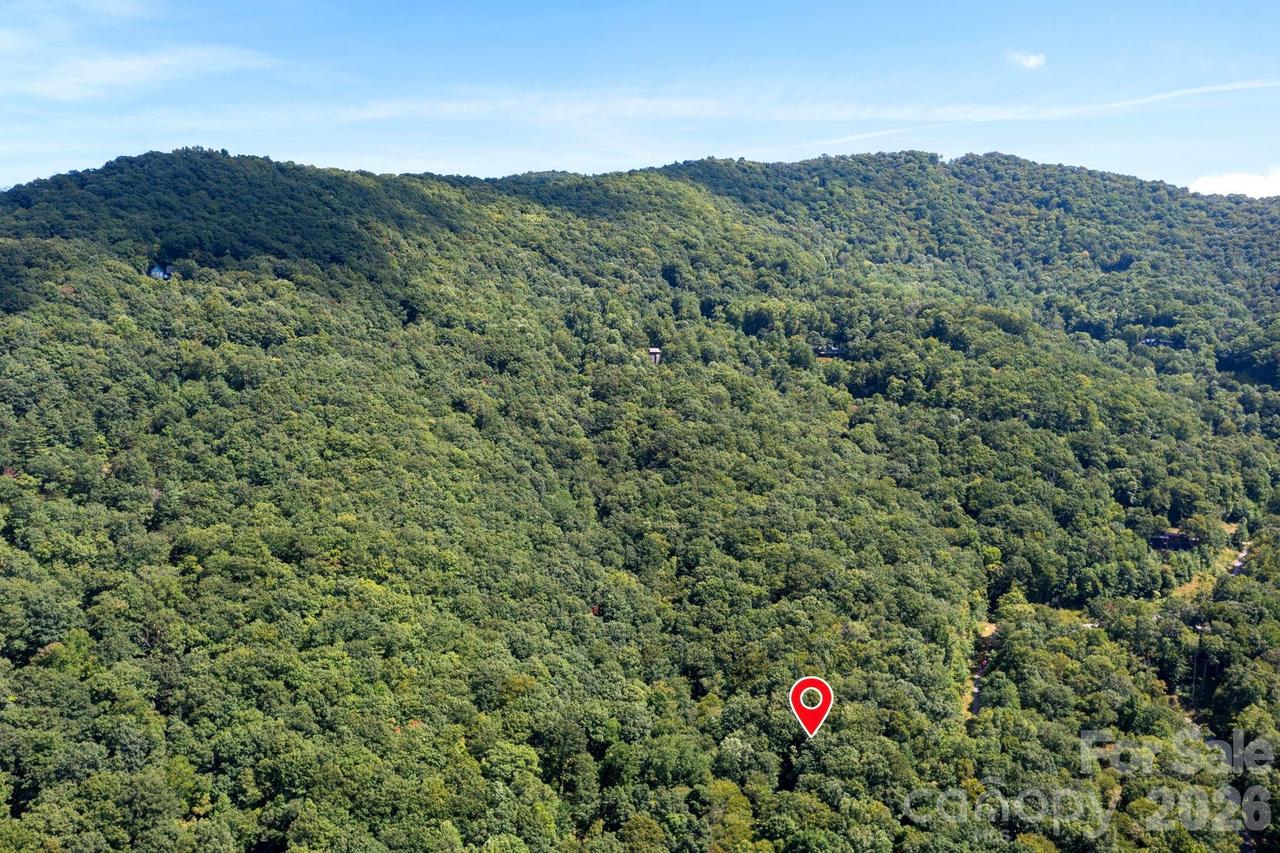 1250 Arborcrest Way #43, Swannanoa, NC 28778