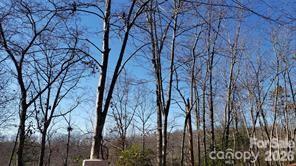 TBD Galax Ln. #G-11, Brevard, NC 28712