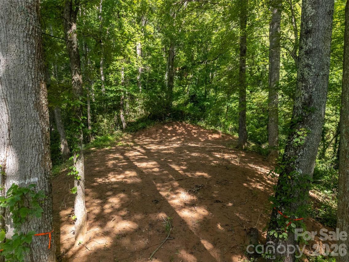 Lot D Claude Cook Rd., Sylva, NC 28779