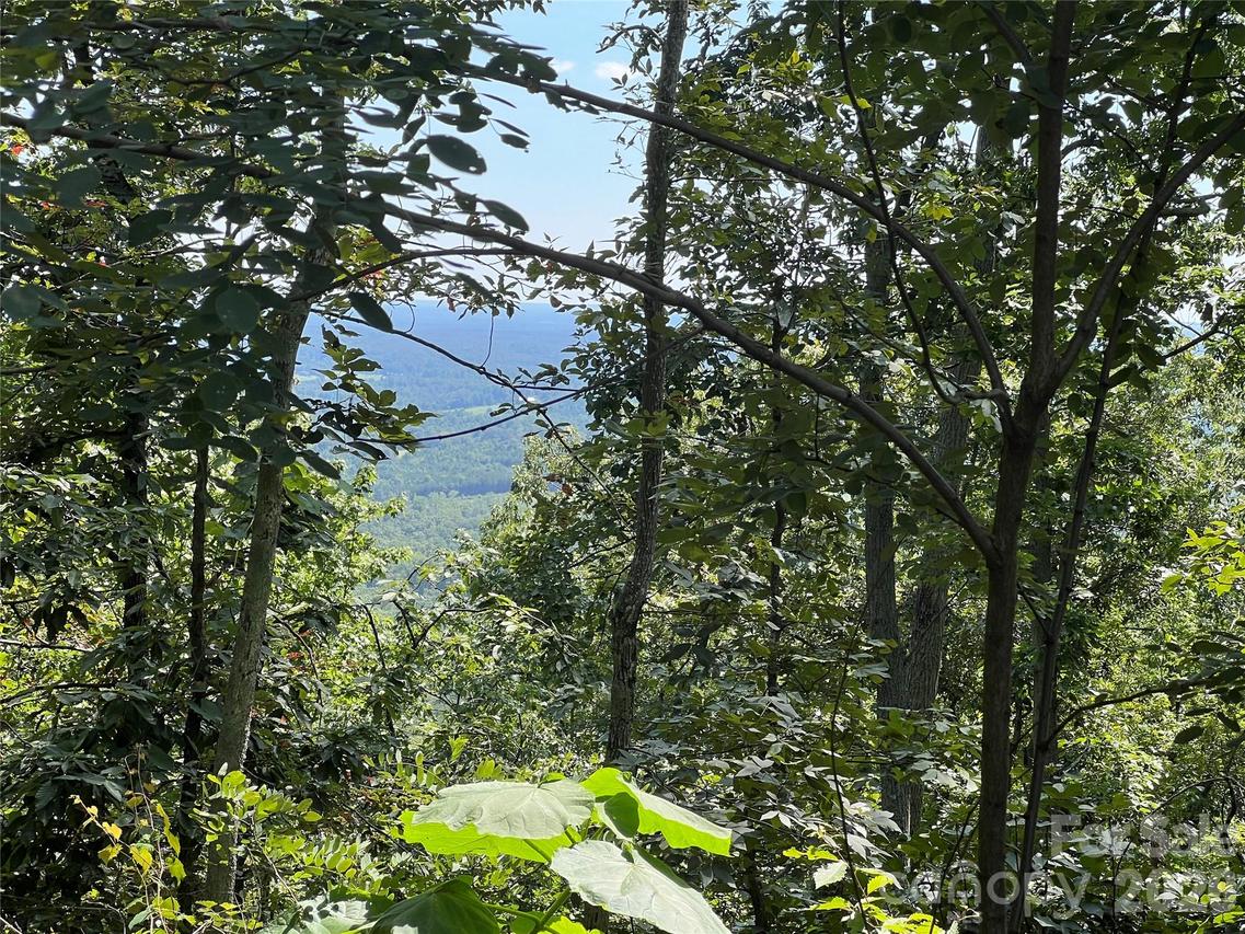 00 Brighton Dr. #233, Bostic, NC 28018