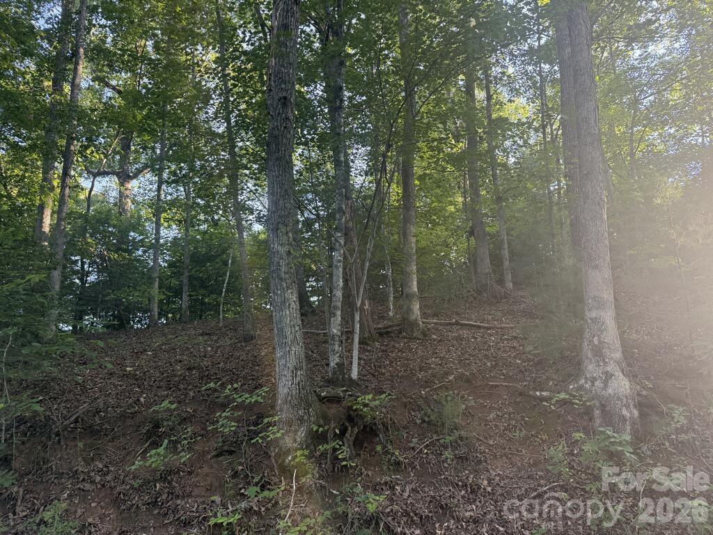 Canterbury Rd., Cullowhee, NC 28723