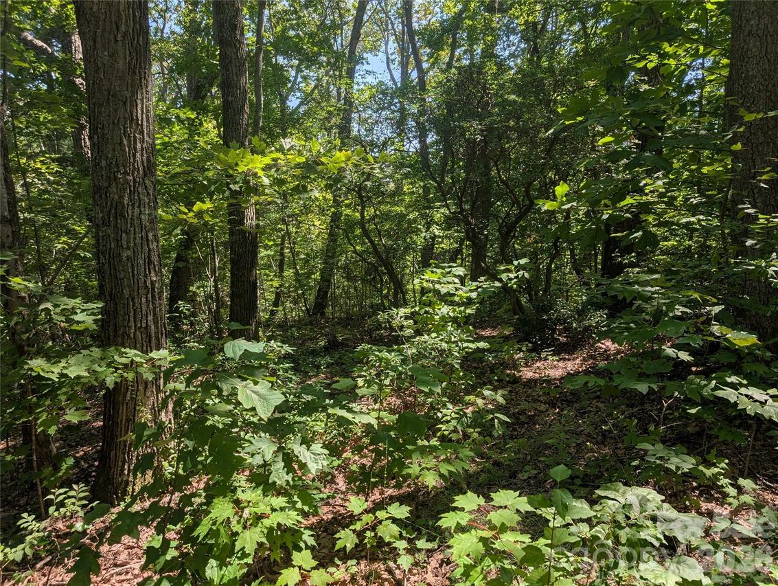 1824 Old Mill Rd., Hendersonville, NC 28792