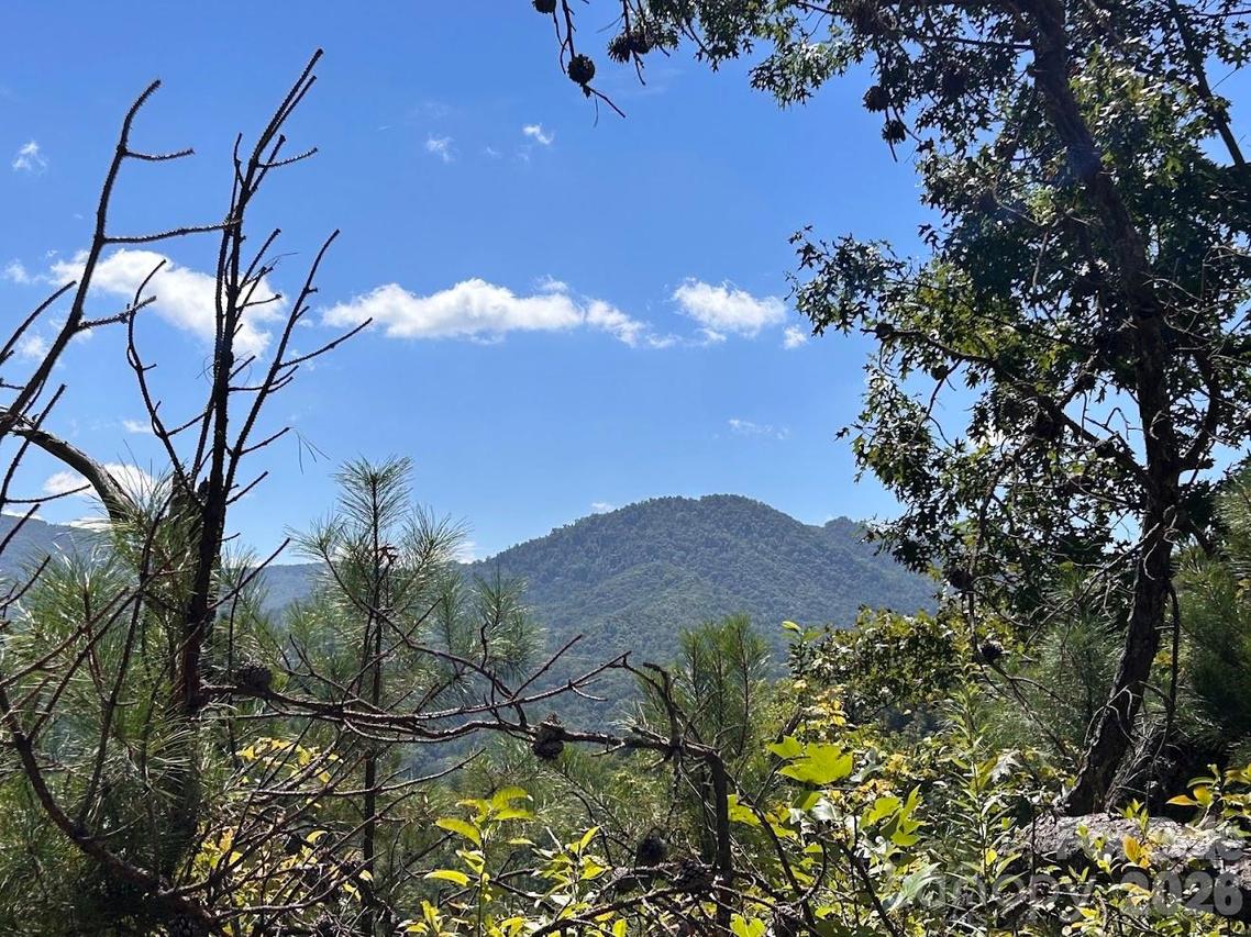 9999 Us Hwy 441 Hwy., Sylva, NC 28779