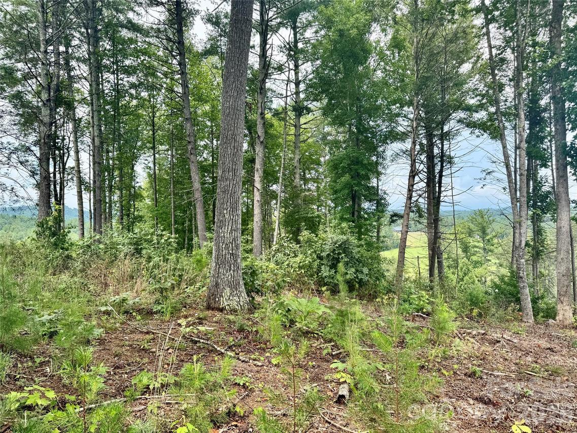 2070 Thoroughbred Way #G18, Lenoir, NC 28645