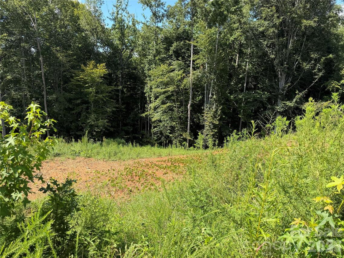 1207 Summerhill St., Lenoir, NC 28645