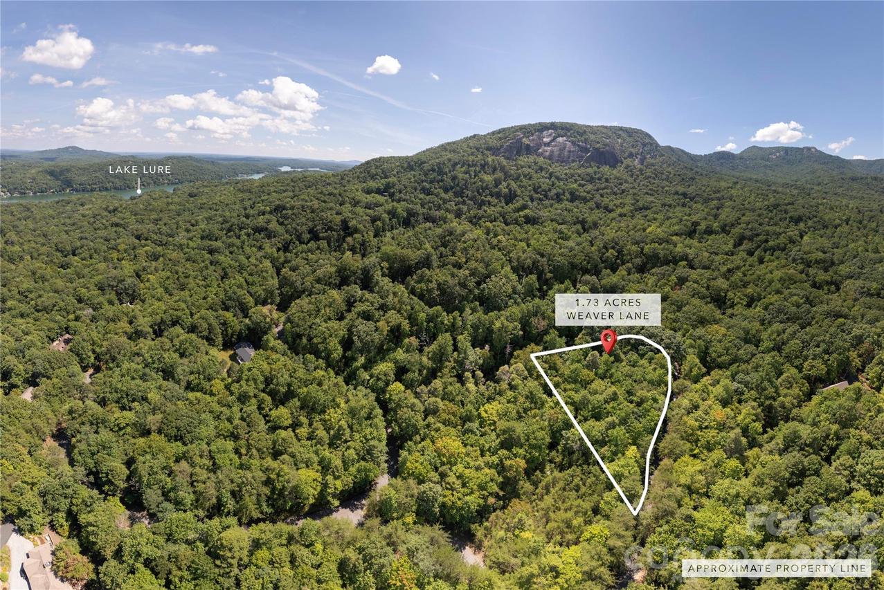 Weaver Ln. #185, Lake Lure, NC 28746