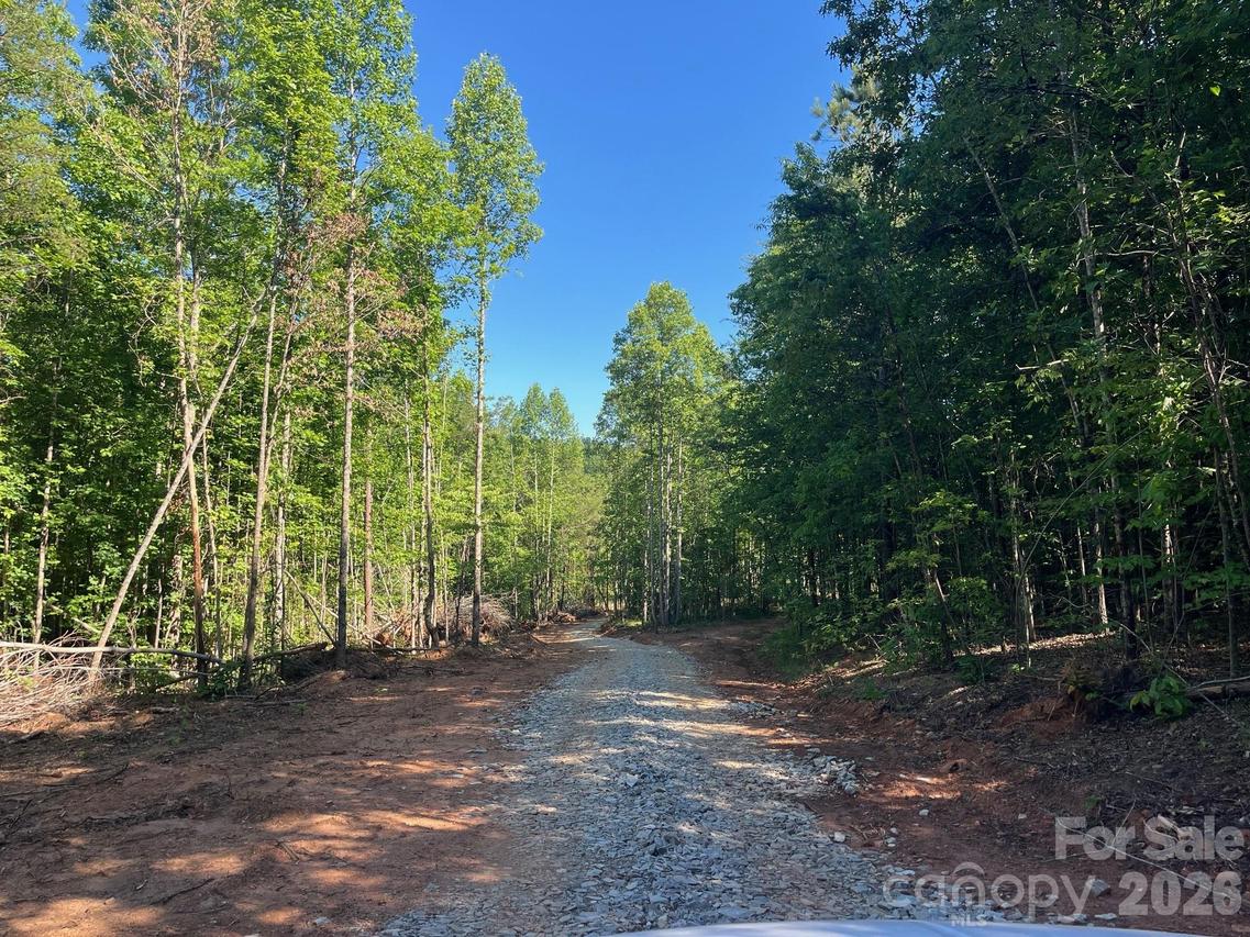 V/L Lotus Dr. #19B, Nebo, NC 28761