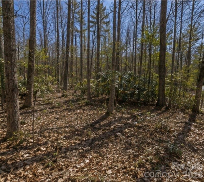 109 W Christy Tr., Sapphire, NC 28774