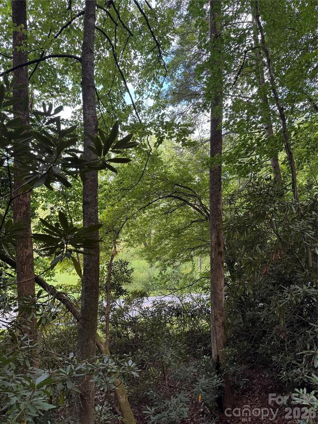 000 Wilson Rd., Pisgah Forest, NC 28768