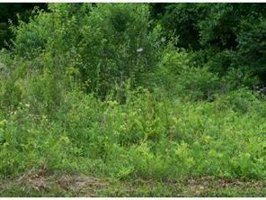 261 Baymount Dr., Statesville, NC 28625