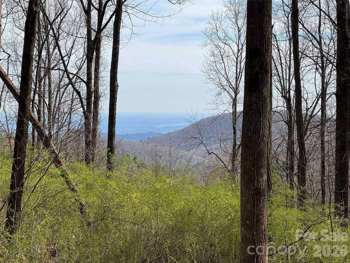 L8 Black Bear Ct., Sapphire, NC 28774