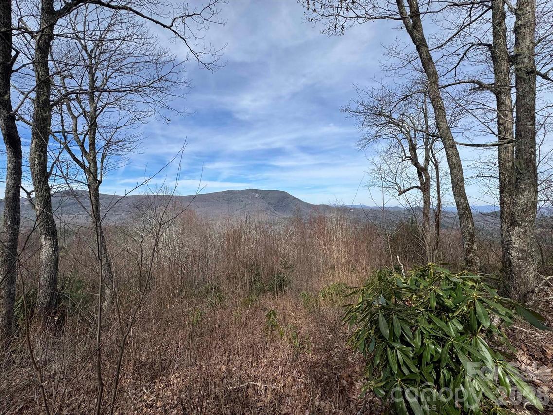 L3 Windy Gap Ln., Sapphire, NC 28774