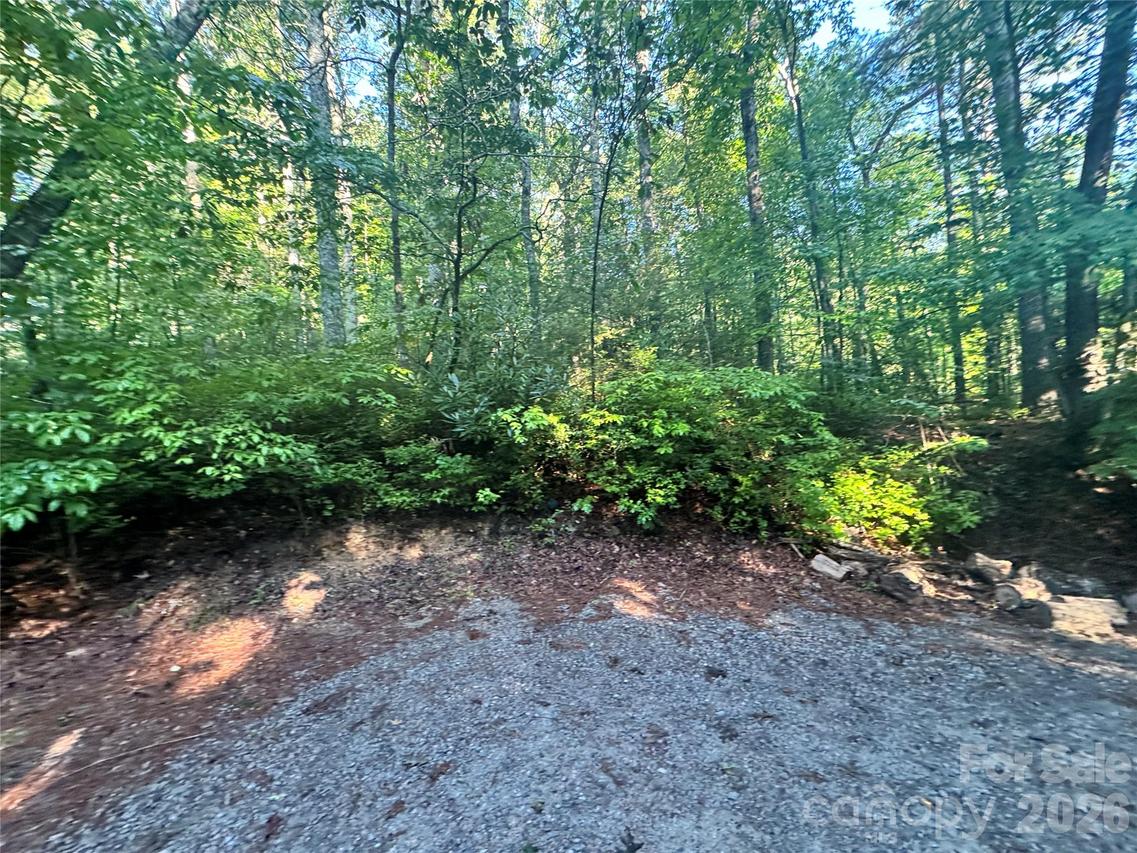 000 Sugar Creek Dr., Cedar Mountain, NC 28718