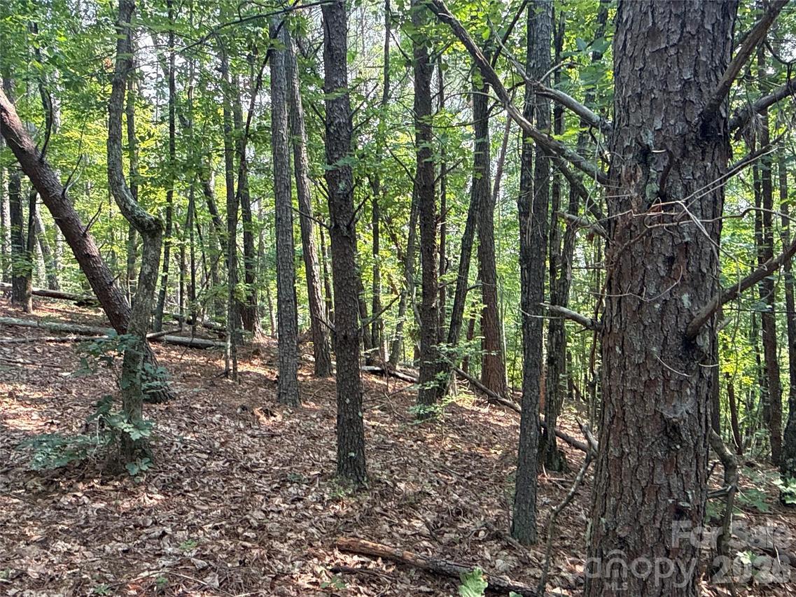 242 Golden Creek Ridge, Union Mills, NC 28167