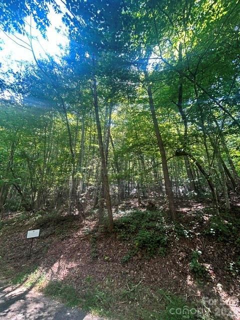 Lot 272 Hummingbird Ct. #272, Lake Lure, NC 28746