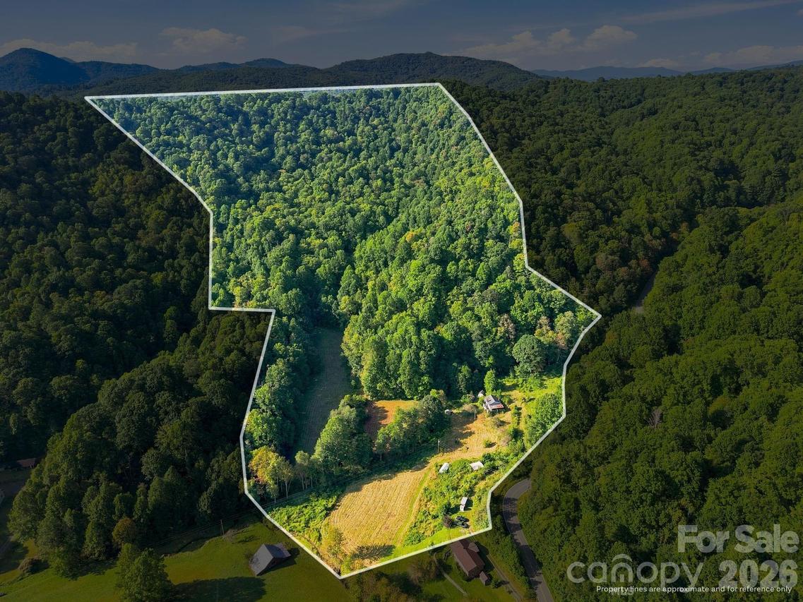 1487 Poplar Gap Rd., Hot Springs, NC 28754