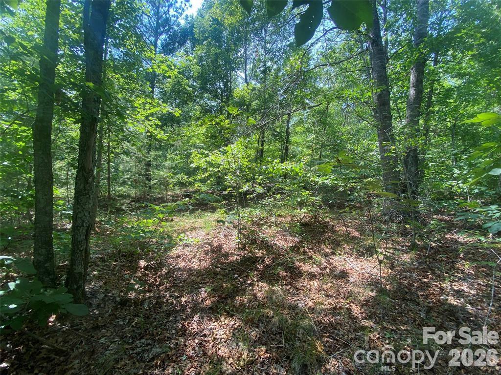 65 Stellar View Dr. #6, Union Mills, NC 28167