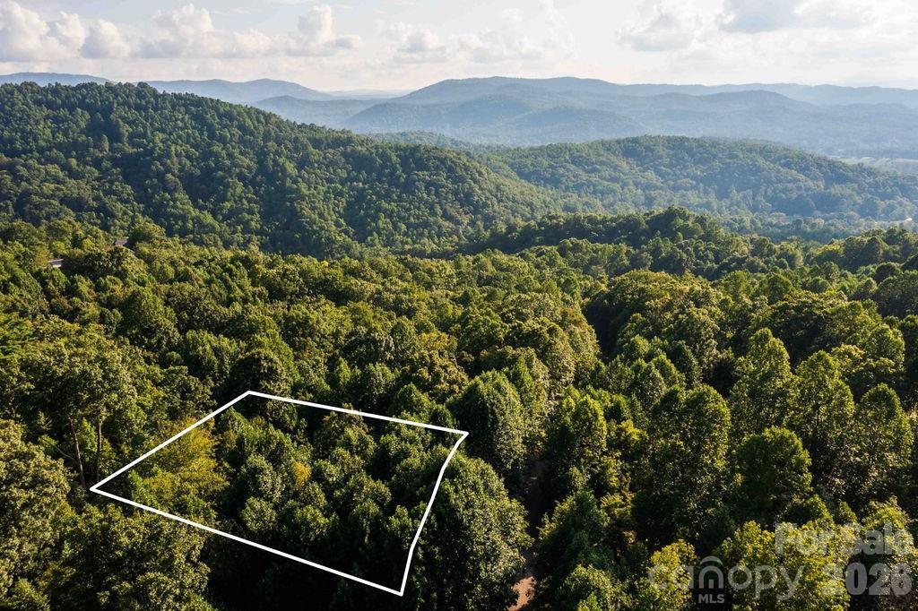 000 Ivywood Ln. #13, Laurel Park, NC 28739