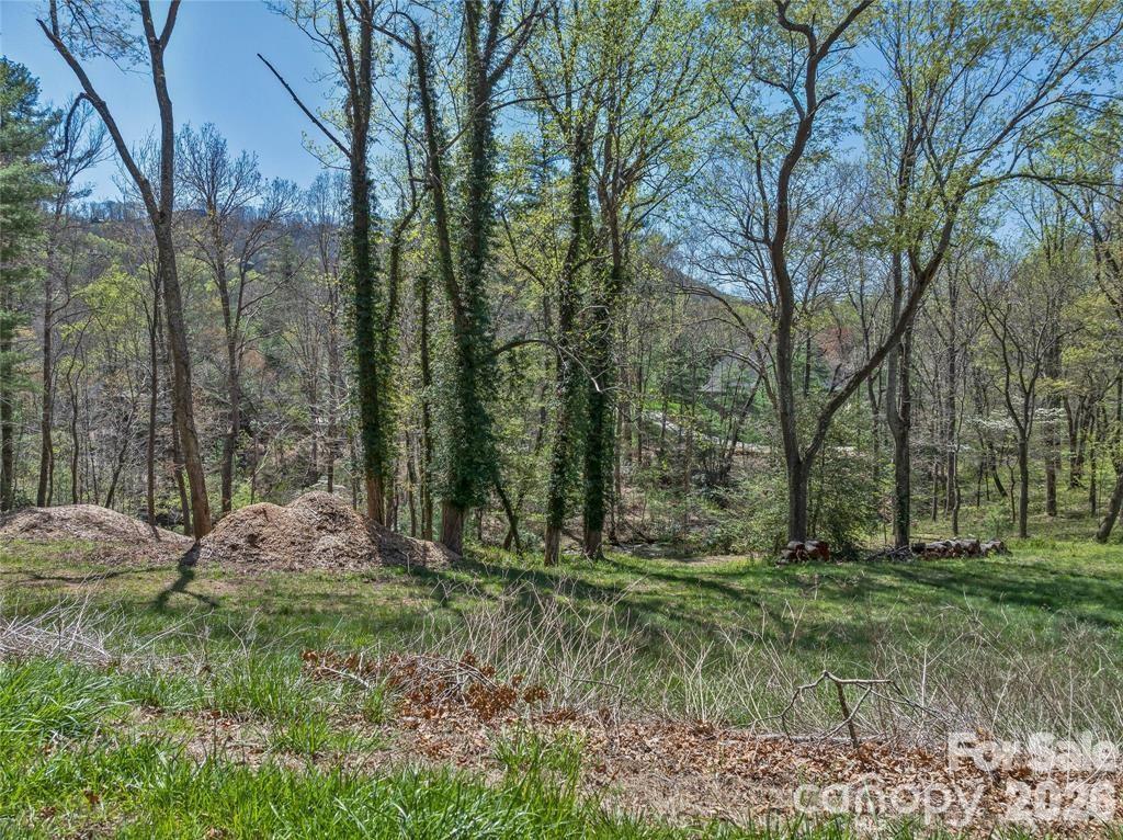 99999 Running Creek Tr. #2, Arden, NC 28704