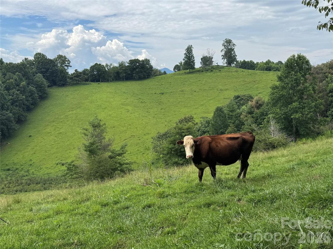 Union Hill Church Rd., Green Mountain, NC 28740