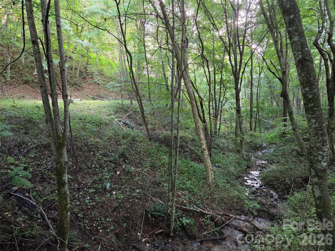 00 Creekside Dr., Maggie Valley, NC 28751