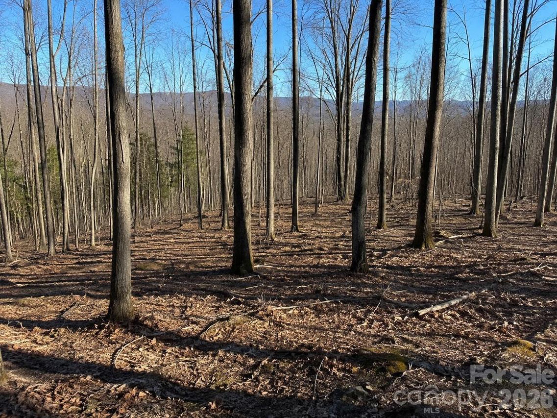 00 Crab Apple Dr., Burnsville, NC 28714