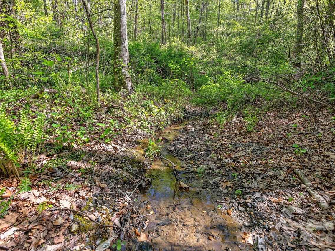99999 Bob Barnwell Rd., Asheville, NC 28803