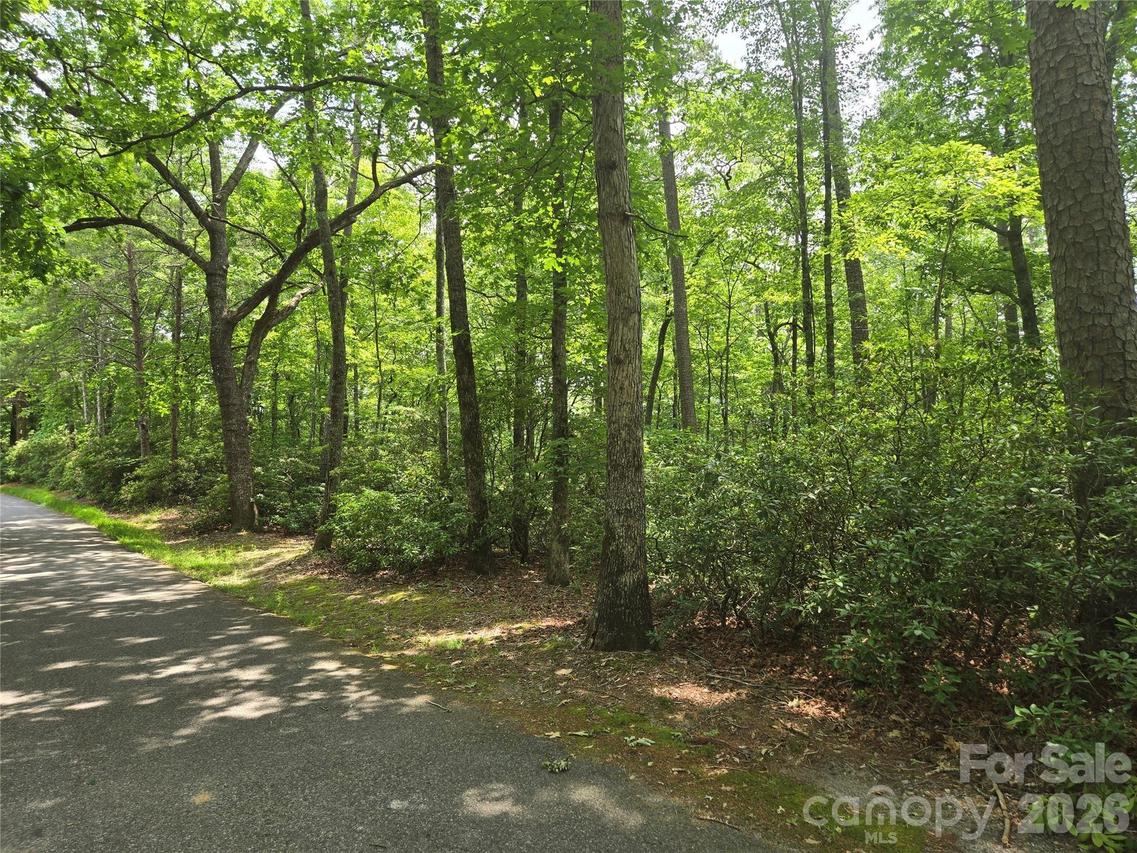 [Address Hidden by Seller], Lake Lure, NC 28746