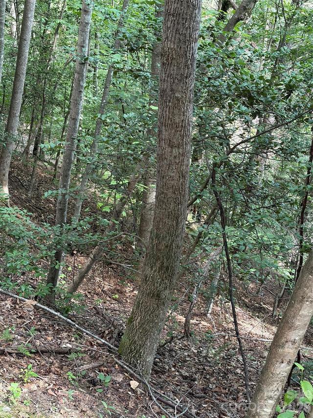 TBD Old Nc Highway 16 Hwy., Millers Creek, NC 28651