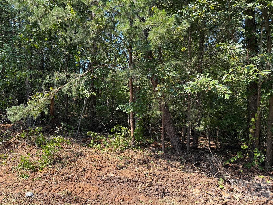 Katherine Dr., Denver, NC 28037
