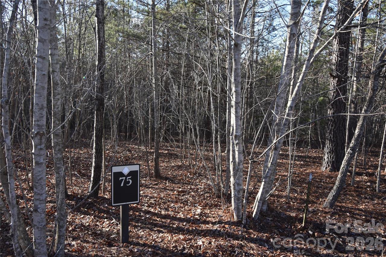 Lot 75 Tayberry Dr., Nebo, NC 28761