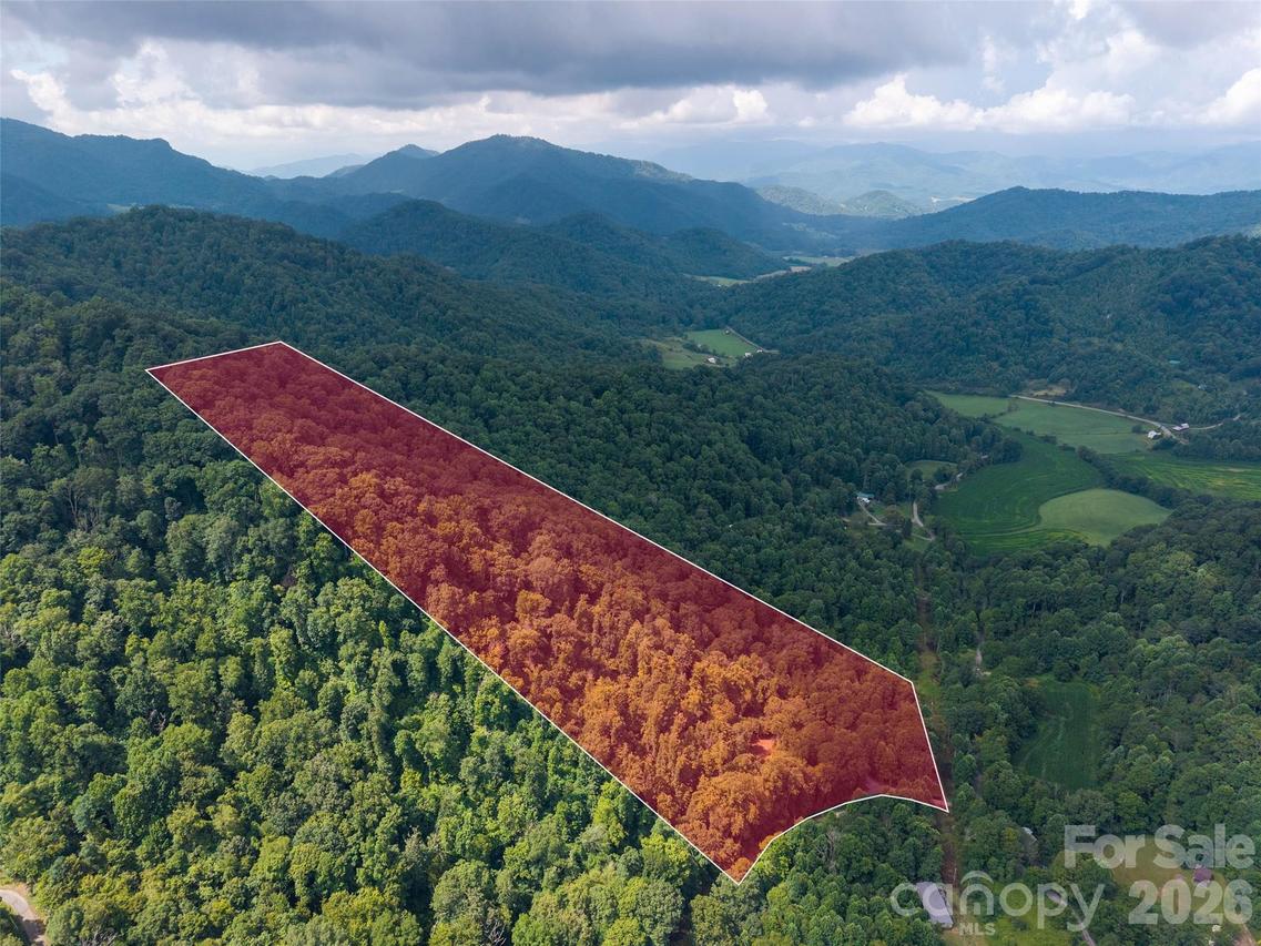 00 Sugar Cove Rd., Clyde, NC 28721